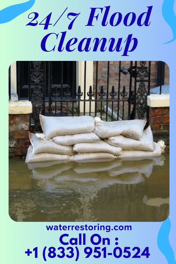 24/7 Flood Cleanup in New Albany, MS