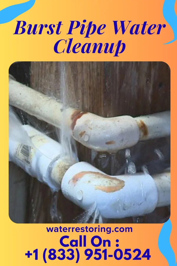 Burst Pipe Water Cleanup in New Albany, MS