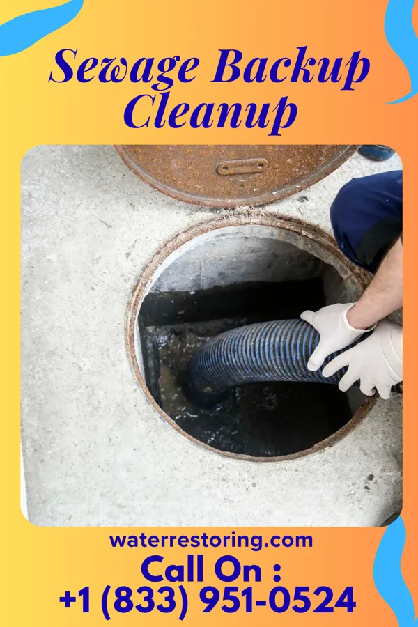 Sewage Backup Cleanup in New Albany, MS