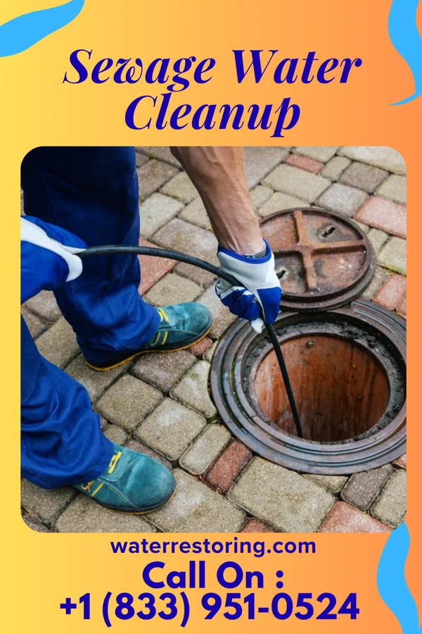 Sewage Water Cleanup in New Albany, MS