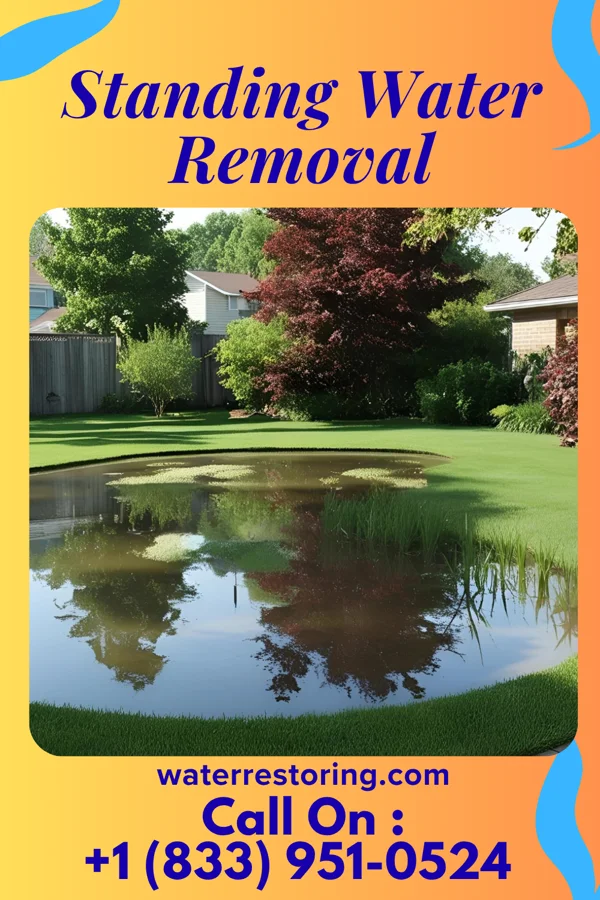 Standing Water Removal in New Albany, MS